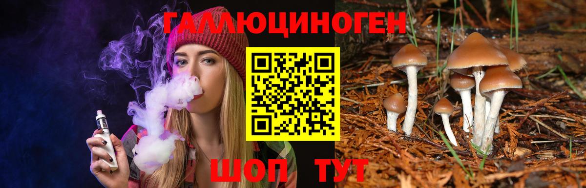 Зерноград  Псилоцибиновые грибы прущие грибы  Галлюциногенные грибы GOLDEN TEACHER  Вход с VPN 