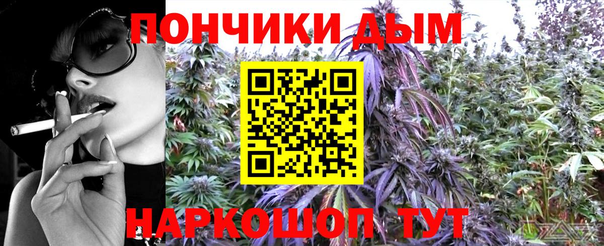 Зерноград  Каннабис сатива  Конопля конопля  Бошки Шишки сатива  Вход с VPN 